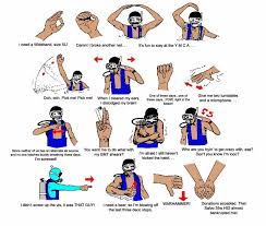 Funny Scuba Hand Signals Divebuddy Com Scuba Diving Quotes Diving Quotes Scuba