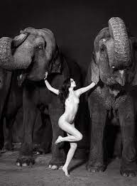 Vanessa Von Zitzewitz photographs model naked with circus elephants | Daily  Mail Online