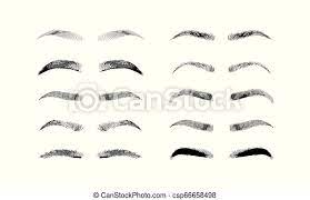 Check spelling or type a new query. Eyebrow Shapes Various Types Of Eyebrows Classic Type And Other Trimming Vector Illustration With Different Thickness Of Canstock