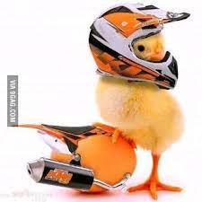 Pin On Ktm