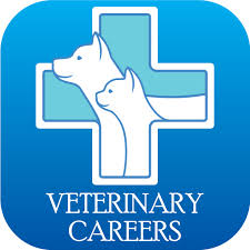 Veterinary Jobs In Michigan Mobile Recruiting App Train Activities Jobs In Florida Texas Jobs