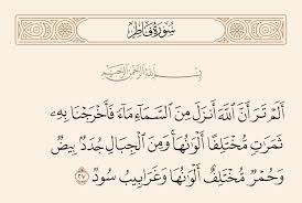 سورة فاطر 27 ألم تر أن الله أنزل من السماء ماء فأخرجنا به ثمرات مختلفا