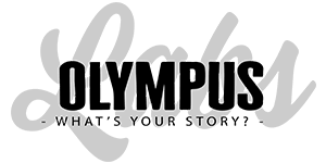 Macroceras plant that olympus labs has trademarked. Olympus Labs I Am Supreme Review Updated 2019 Read This Before Buying