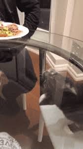 Share the best gifs now >>> Pounding The Table Gifs Get The Best Gif On Giphy
