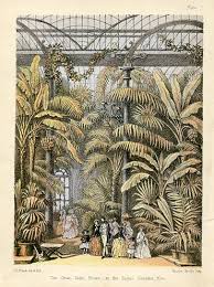 Great Palm House At The Royal Garden Kew Royal Garden Kew Gardens Victorian London