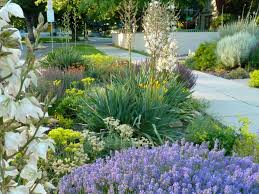 Landscaping with yuccas are great to add a southwest flare. Ways To Improve The Hellstrip Hgtv