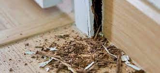 Termites live in many types of structures. Are Termites A Problem During The Winter