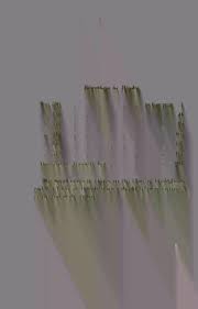 Image result for Gerardiina angolensis