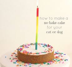 It's so healthy and delicious, your dogs are going to love it! 12 Best Dog Cake Recipes Homemade Cake For Your Pup