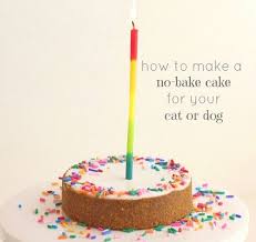 Homemade dog cakes are simple and a great way to know exactly what is in your dogs snacks. 12 Best Dog Cake Recipes Homemade Cake For Your Pup