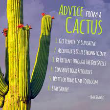 Advice From A Cactus Cactus Quotes Cactus Quotes