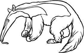 Anteater For Kapok Tree Brazil Kids Printable Coloring Pages Coloring Pages Animal Coloring Pages