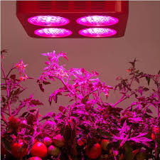 Whether you are a beginner or a professional gardener, you will be 100% satisfied with the. Led Grow Lights For Vegetables Led Grow Lights Best Led Grow Lights Grow Lights