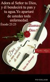 Pin By Brigida On Tarjetas Varias Christian Bible Quotes Good Morning Quotes Good Night Messages