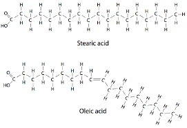 Image result for Fatty Acid