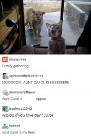 Aunt Carol Funny Animals Cute Funny Animals Tumblr Funny