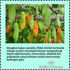Maybe you would like to learn more about one of these? Buy Ready Stock Hot Product Teh Herba Premium Peria Seetracker Malaysia