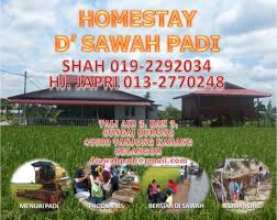 Padi is the world's leading scuba diver training organization. Homestay D Sawah Padi Guest House Reviews Tanjong Karang Malaysia Tripadvisor
