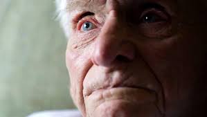 What Taranaki was reading about in 2016