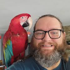 Anybody needing a spot to be filled in for one of their paid fantasy  leagues?