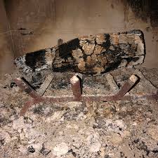 We did not find results for: How To Properly Clean Ashes Out Of Your Fireplace