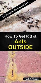 Worker ants will swarm when you damage the hill, so be sure to work. 24 Smart Easy Ways To Get Rid Of Ants Outside