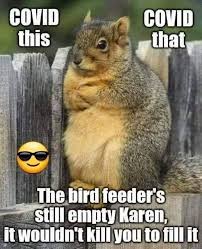 Pin By Karen Carlson On Funny Times In 2020 Funny Animal Memes Karen Memes Funny Animals