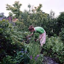An Appealing Edible Landscape Edible Garden Edible Landscaping Plants