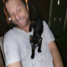 Lost and Found pets in Owensboro Ky