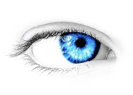 Eye Png Image Light Background Images Eyes Image