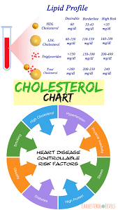 What Are The Good Cholesterol Numbers What Causes High