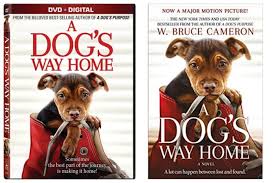 A dog's way home chronicles the heartwarming adventure. A Dog S Way Home Book And Dvd Giveaway As The Bunny Hops