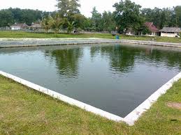 Jenis Kolam Yang Dipergunakan Dalam Budidaya Ikan Nila