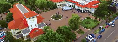 Tipul de locuri de muncă. Site Ul Oficial Al Primariei Otopeniprimaria Orasului Otopeni Online