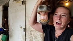 Classic Eventing Nation