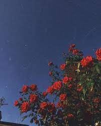 0 vastausta 0 uudelleentwiittausta 2 tykkäystä. Vintage Tumblr Aesthetic