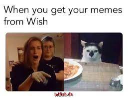 Trending images and videos related to wish! When You Get Your Memes From Wish Lolfish De