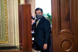 If i ever meet rand paul's neighbor i'm going to hug him and buy him as many drinks as he can consume. Doodles And Giggles Some Senators Spend Impeachment Trial In Distraction The Washington Post