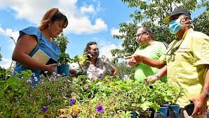 Présentation de l'entreprise le jardin de balgan. Vannes Les Cuisiniers Solidaires Distribuent Des Fruits Des Legumes Et Des Fleurs Le Telegramme