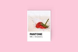 Pantone Color Cards Mockup Pantone Color Color Card Pantone
