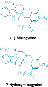 Not business in the kratom industry is genuine with their offer on free kratom samples. Recreational Drug Kratom Hits The Same Brain Receptors As Strong Opioids
