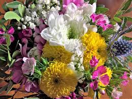 White and yellow flowers bouquet. White Yellow Pink Flower Bouquet Flowers Bouquet Varied Herbstastern Small Cloves Zierzweige Pxfuel