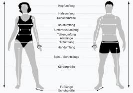 Clothing Sizes Wikipedia