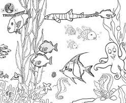 Aquarium coloring pages offer little dreamers to plunge into the secret kingdom of water. Coloring Aquarium Drawing For Kids Novocom Top