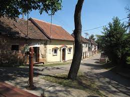 Zuš dolní bojanovice, příspěvková organizace prostřední 417 696 17 dolní bojanovice. Datei Dolni Bojanovice Sklepy Krizna Jpg Wikipedia