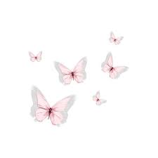 Vo Imya Lyubvi Butterfly Wallpaper Iphone Butterfly Wallpaper Flower Background Wallpaper