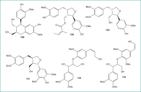 Image result for Laggera elatior