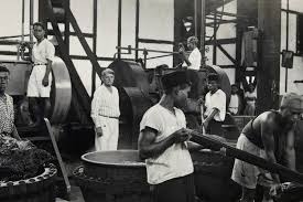 Kerja rodi membuat rakyat indonesia sengsara dan jatuh korban jiwa. Mengapa Pemerintah Hindia Belanda Melaksanakan Tanam Paksa Halaman All Kompas Com