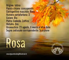 Barbosa pesava mais do que o barão de marschall. Rosa Significato Origine E Onomastico Del Nome Rosa