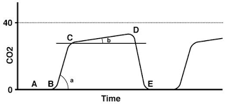 Litmus paper which changes colour when exposed to hydrogen ions (produced by co2). Capnography Core Em